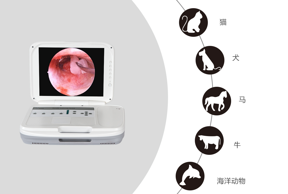 內(nèi)窺鏡攝像機(jī)的應(yīng)用領(lǐng)域有哪些？